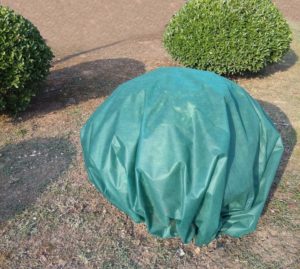 Shrub cover available from garden supply sellers.