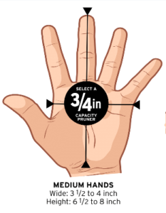 A medium hand can take a 7 inch pruner.