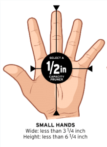 Pruner sized for a small hand