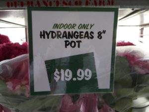 Sign Tells Buyers to Use These Plants Indoors