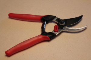 Cleaned/Disinfected Bypass Pruner