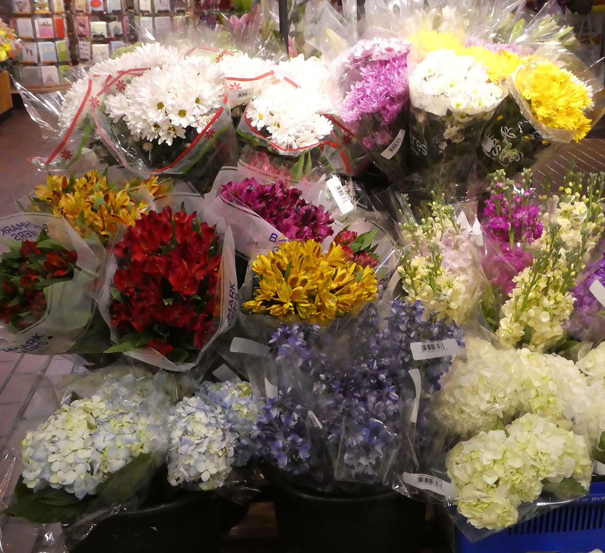 Hydrangeas as Cut Flowers Lorraine Ballato