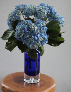 Hydrangea Bouquet Revived