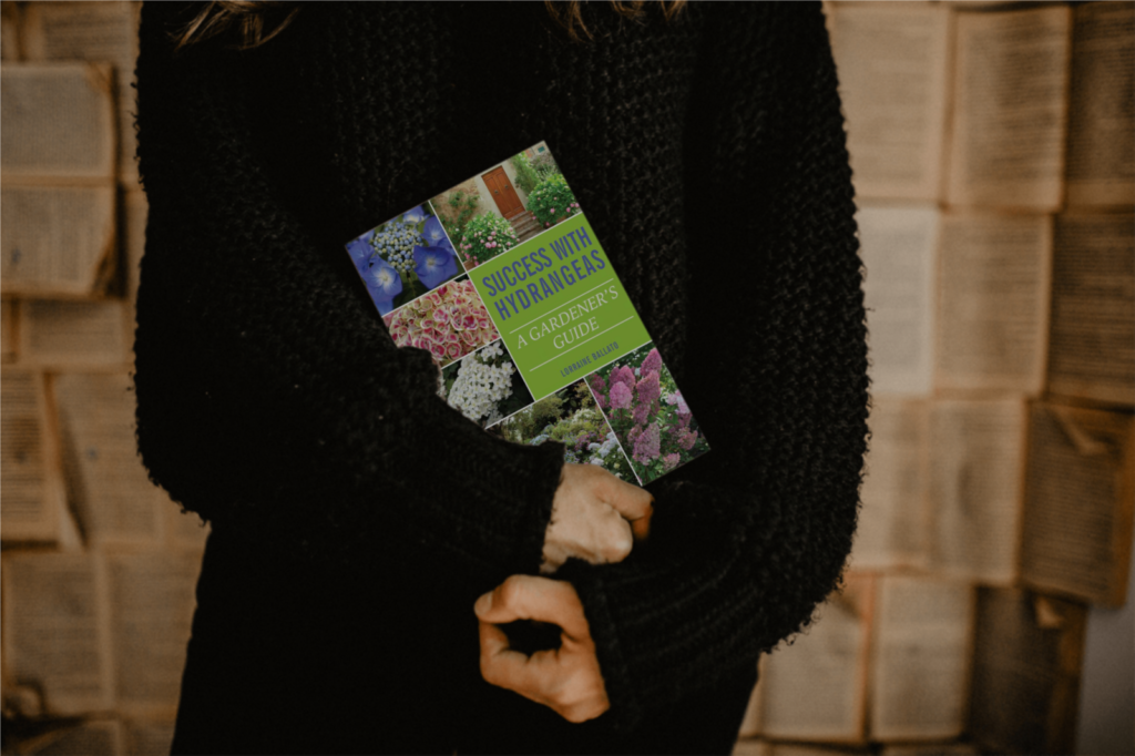 Gardener holding book, Success With Hydrangeas