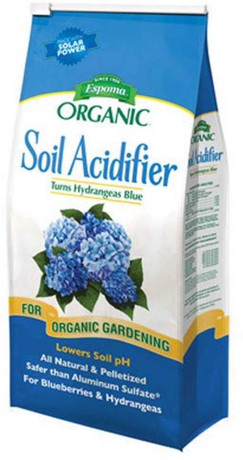 Hydrangea care can include a soil acidifier to lower the pH for blue flowers