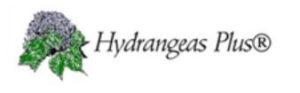 Hydrangeas Plus logo