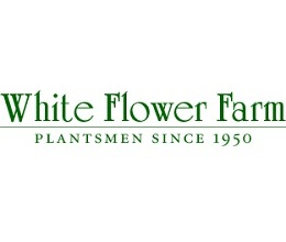 White Flower Farm Logo