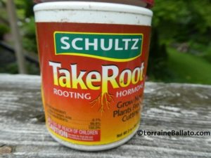 One commercially available rooting hormone