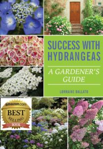 Cover of best selling book "Success With Hydrangeas"