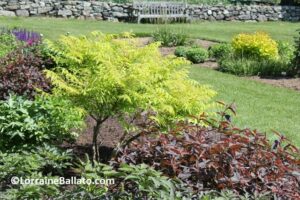 WHITE FLOWER FARM BORDER