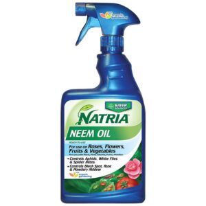 Neem oil is one insecticide that will eliminate bugs on your plants