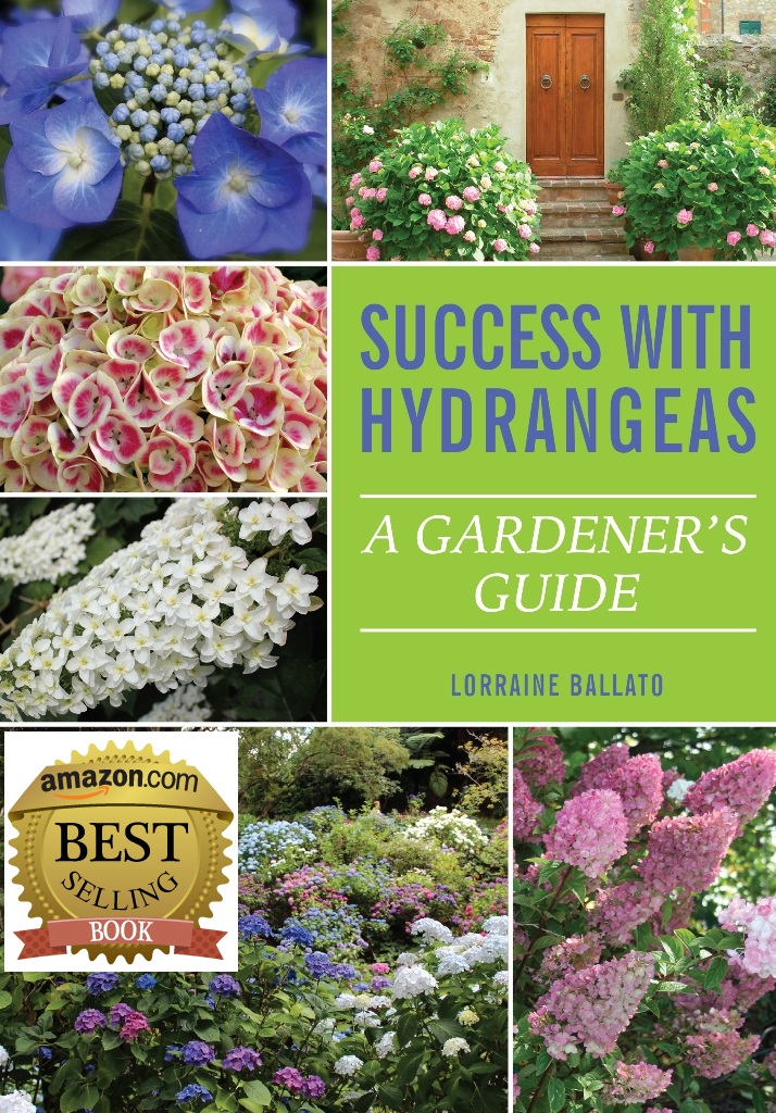Best selling "Success With Hydrangeas" book