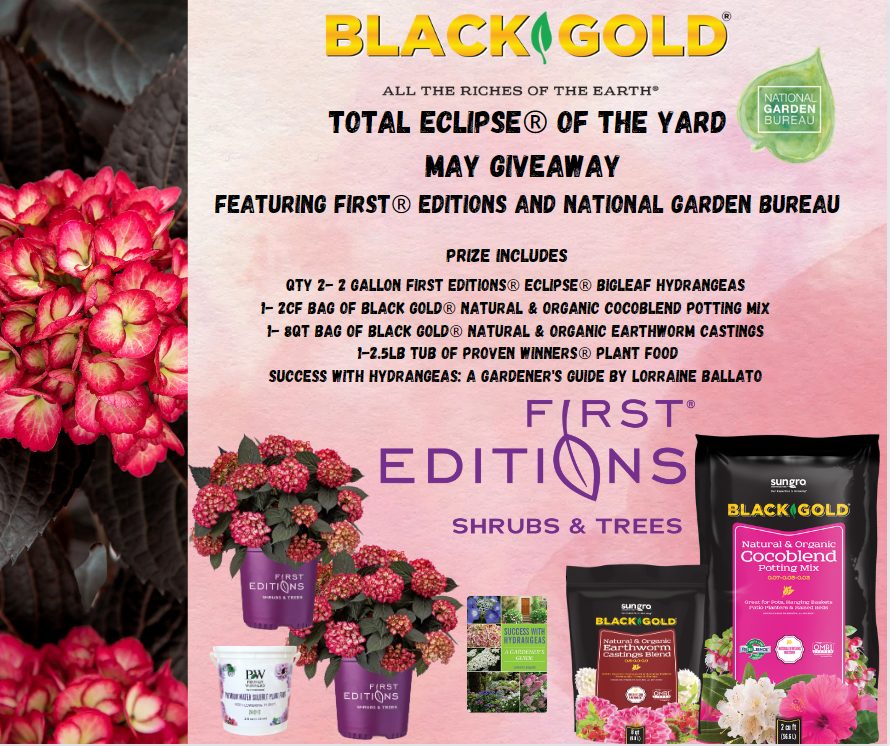 Details of May Hydrangea Giveaway