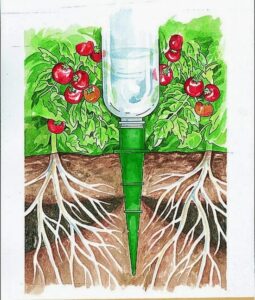 How a watering cone works