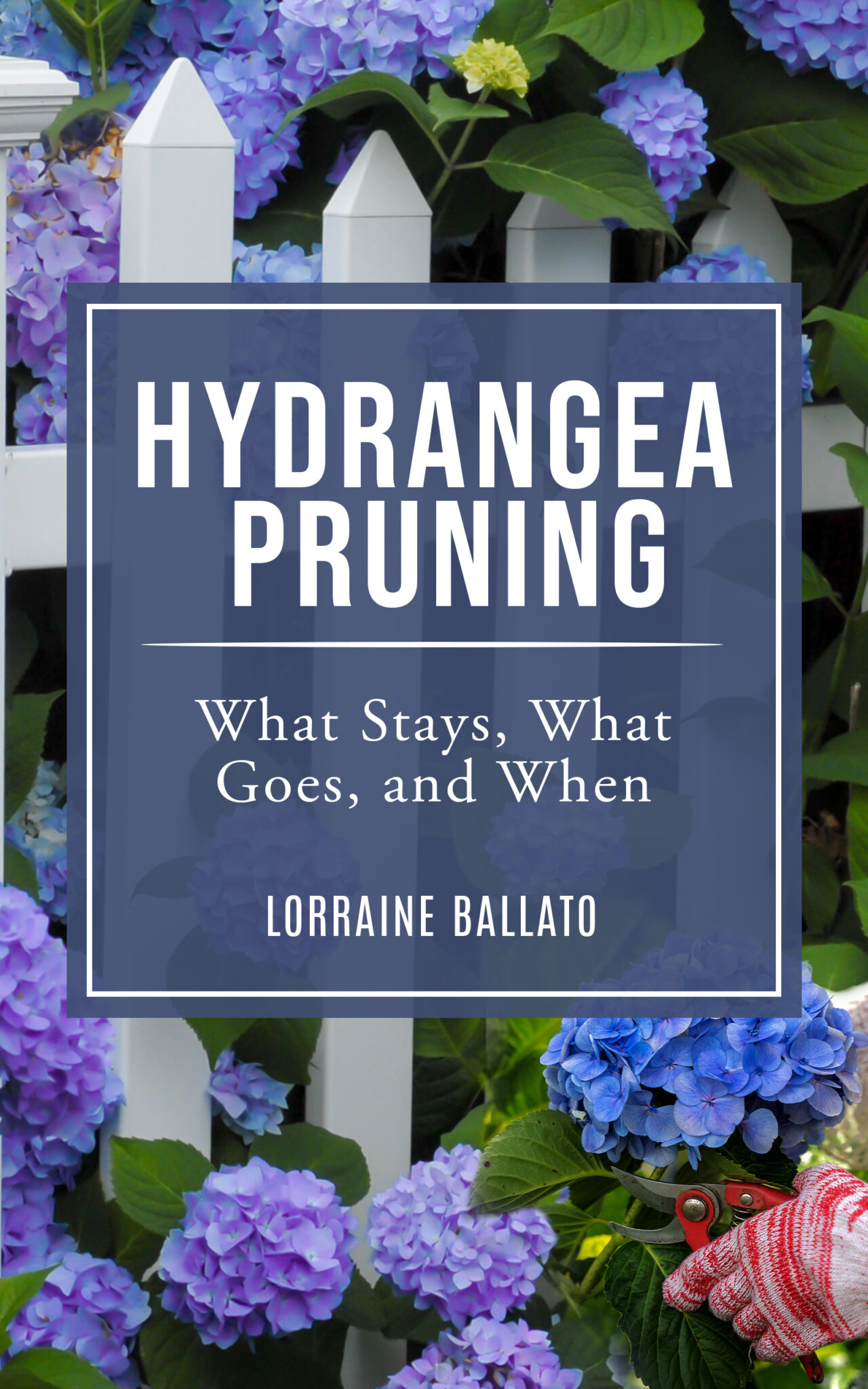 HYDRANGEA INSECT MANAGEMENT - Lorraine Ballato