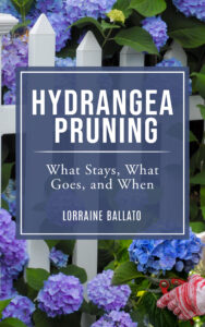 The cover of my next book about hydrangea pruning